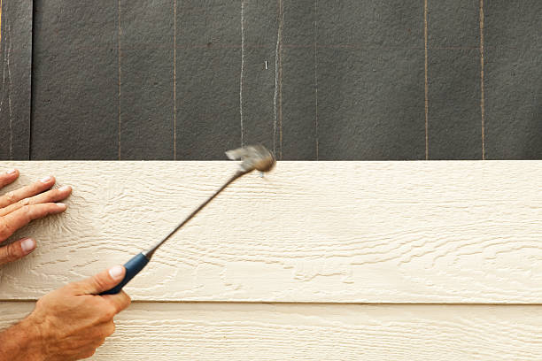 Best Vinyl Siding Installation  in Henry, IL